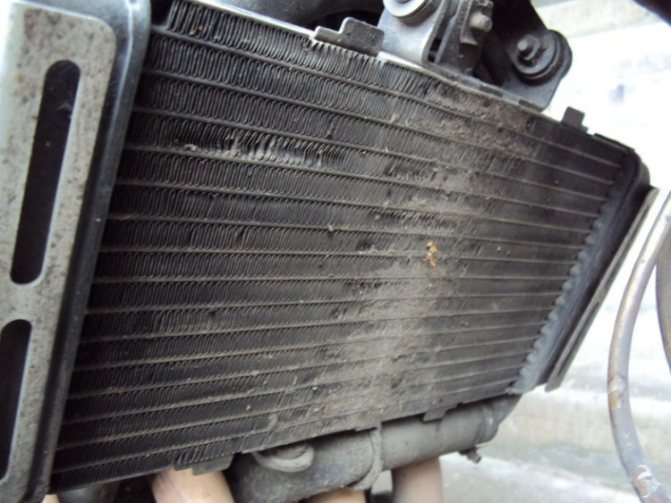 Защита радиатора мотоцикла Honda cb 400 своими руками